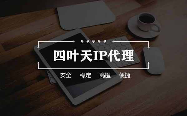 【黑龙江代理IP】如何快速搭建代理IP？怎么检查代理的效果？